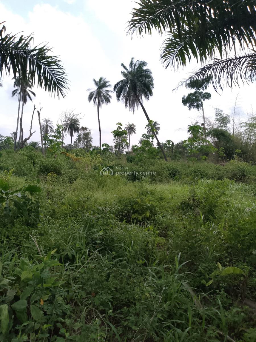 New Estate Development to Feature Eco-Friendly Amenities